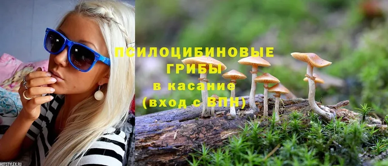 Галлюциногенные грибы Psilocybine cubensis  наркошоп  Осинники 